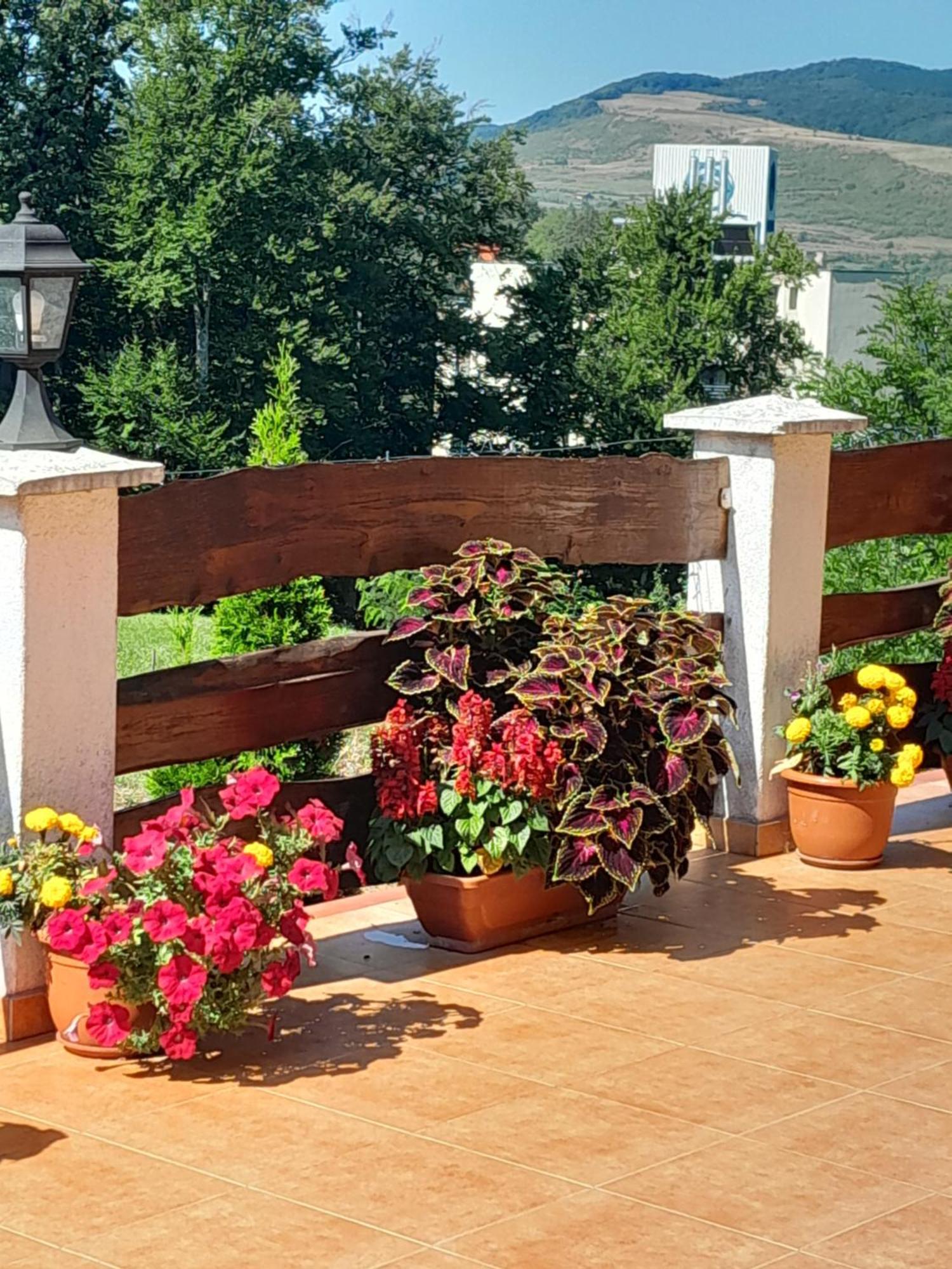 Casa Eldorado Hotell Sovata Eksteriør bilde